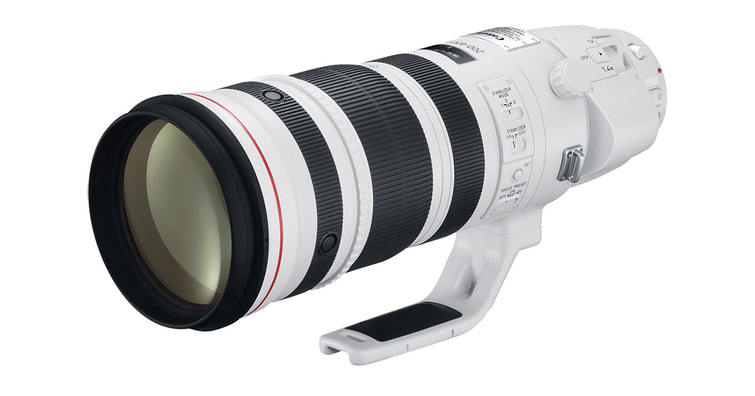 Canon RF 200-500mm F4L IS USM有可能會在2024年底前發表嗎？